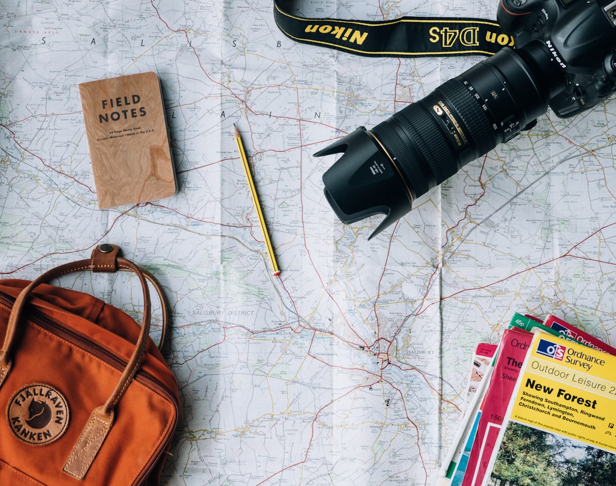 Voyageurs photographiés